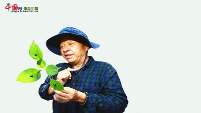 【对话·秦岭】党高弟：深植秦岭四十载 解码自然共生密码